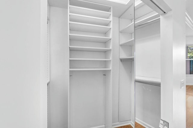 spacious closet with hardwood / wood-style flooring