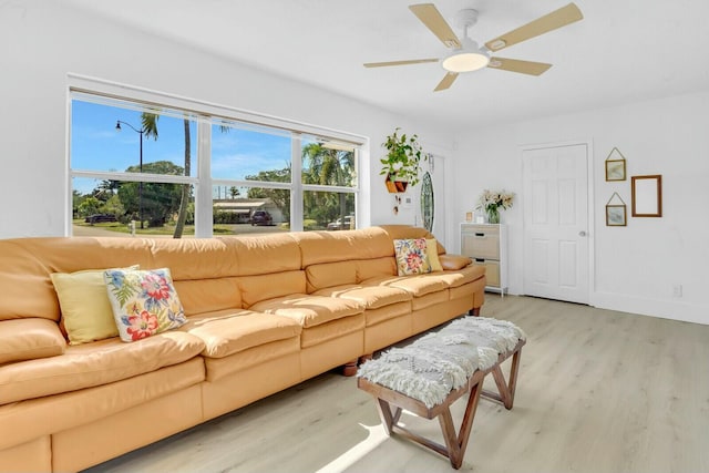 living room featuring ceiling fan and light wood-type flooring