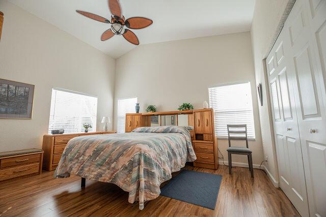 bedroom with multiple windows, hardwood / wood-style flooring, and high vaulted ceiling