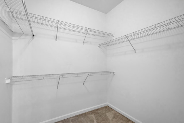 walk in closet with carpet flooring
