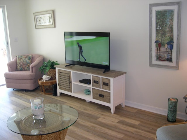 living room with wood-type flooring