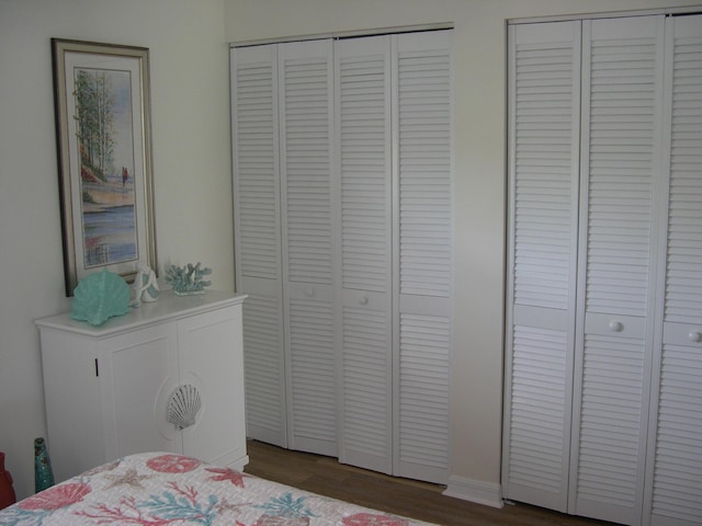 bedroom with dark wood-type flooring and two closets