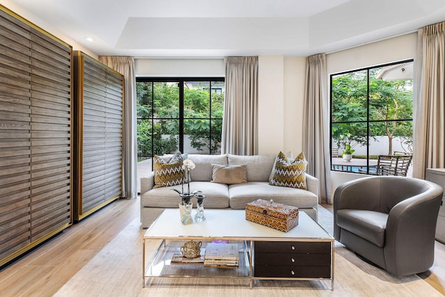 living room featuring a healthy amount of sunlight and light wood-type flooring