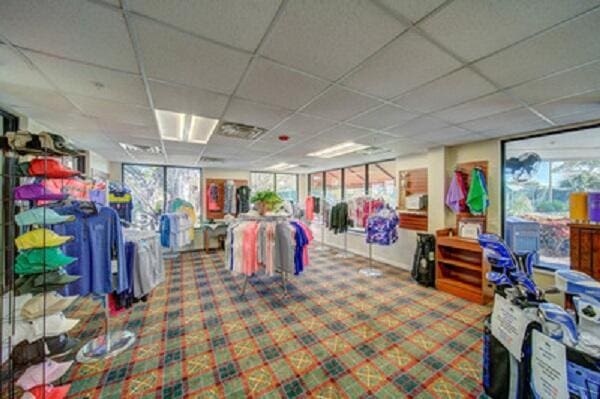 misc room with carpet, a healthy amount of sunlight, and a drop ceiling