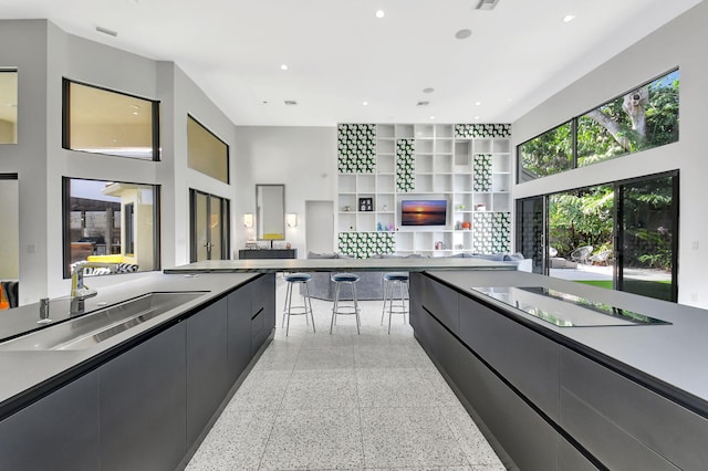 kitchen with light speckled floor, light countertops, a sink, modern cabinets, and dark cabinetry