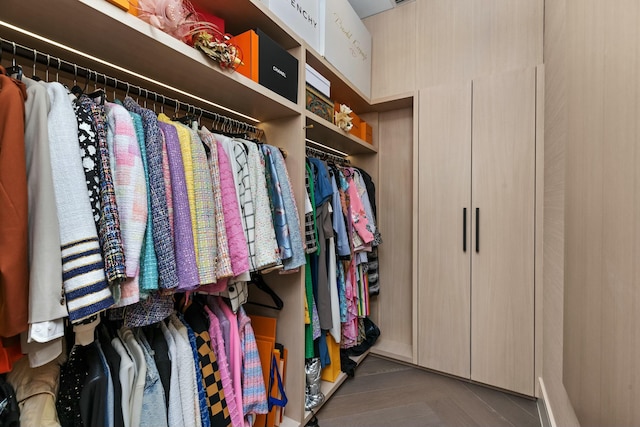 view of walk in closet