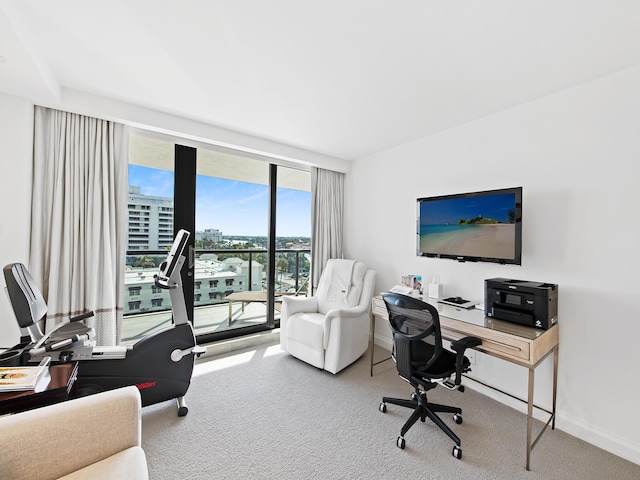 office featuring carpet and floor to ceiling windows