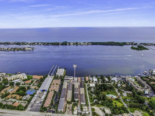 bird's eye view with a water view