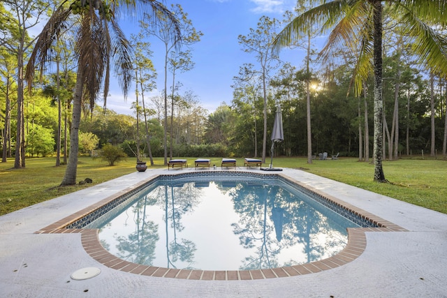 view of swimming pool featuring a yard