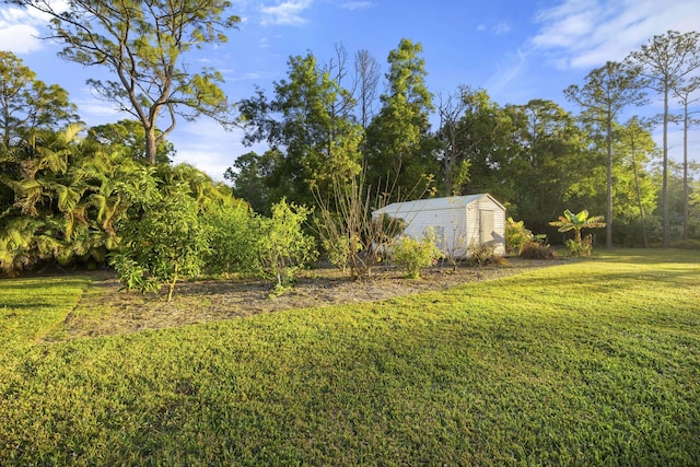 view of yard featuring a storage unit