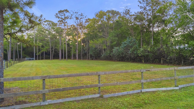 view of yard featuring a rural view