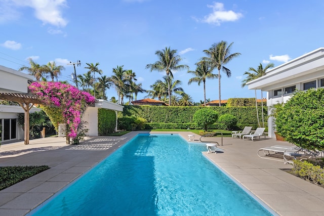 view of swimming pool with a patio