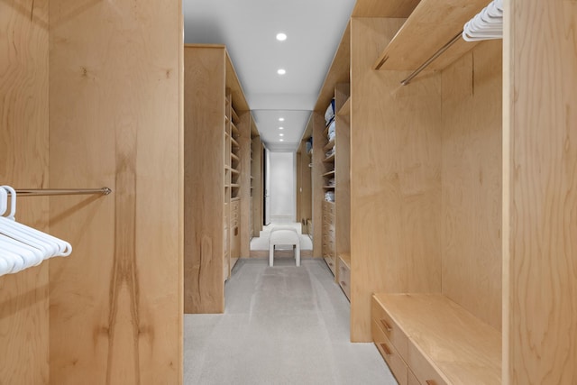 spacious closet featuring light carpet