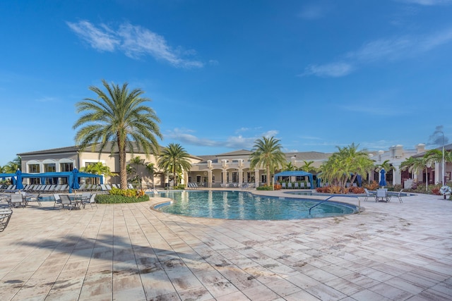 view of pool featuring a patio