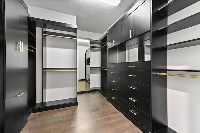 walk in closet featuring wood finished floors