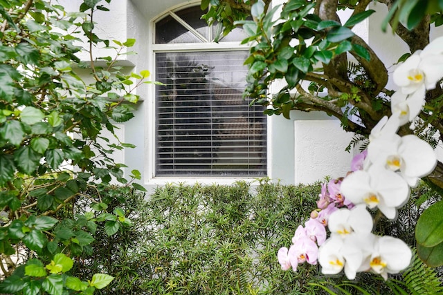 details featuring stucco siding