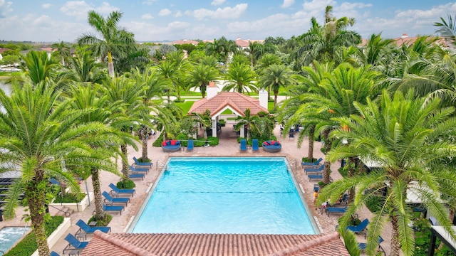 view of swimming pool featuring a patio