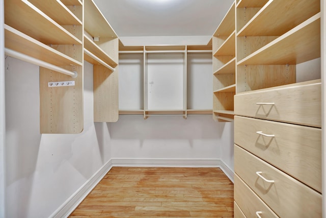 spacious closet featuring hardwood / wood-style floors