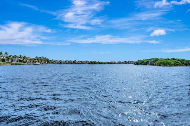 property view of water