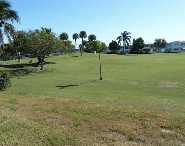 view of home's community with a yard