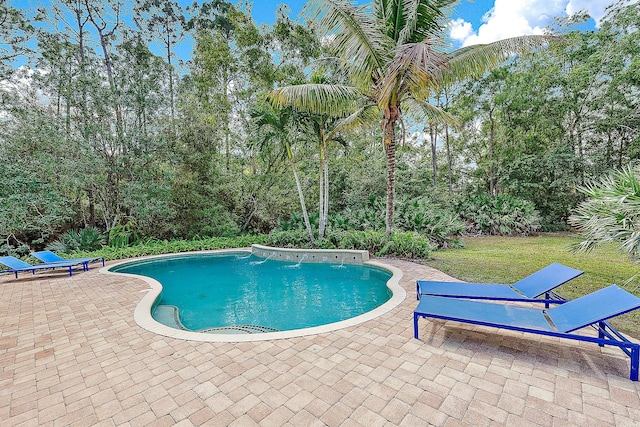 pool featuring a patio and a lawn