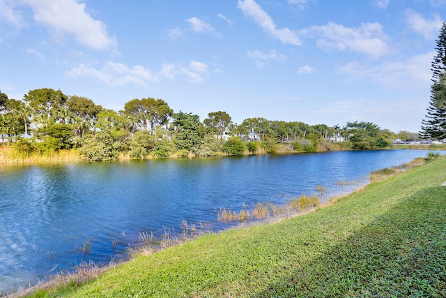 property view of water