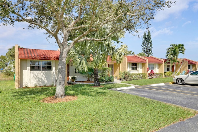 ranch-style home with a front lawn