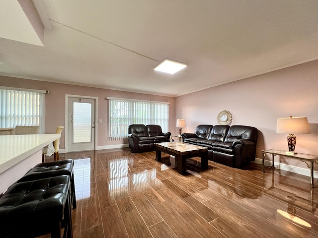 living room with ornamental molding and wood-type flooring