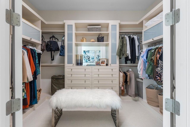 view of walk in closet