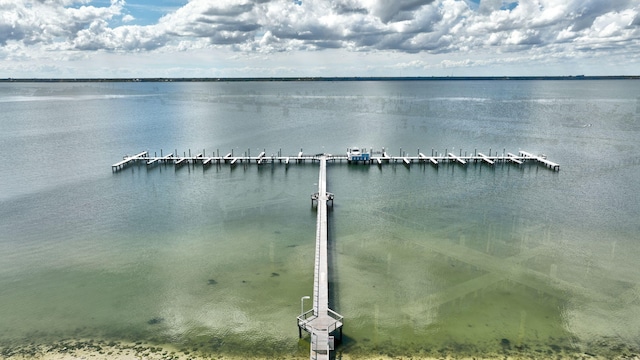 property view of water featuring a boat dock