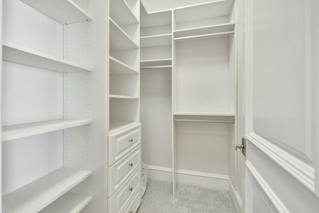 walk in closet with light colored carpet