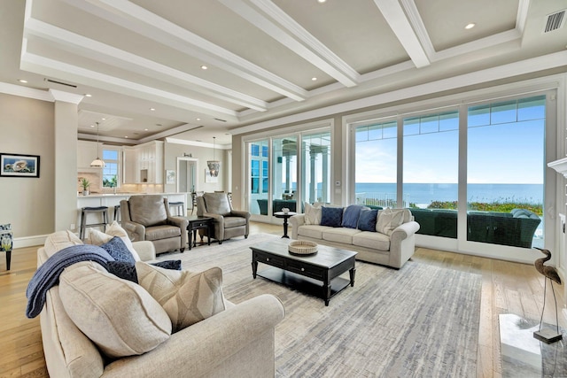 living room with a raised ceiling, a healthy amount of sunlight, and light wood-style flooring