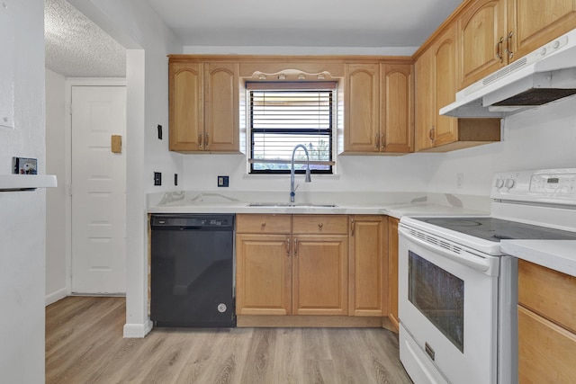 21894 Lake Forest Cir Unit 204, Boca Raton, FL 33433 - kitchen with light hardwood / wood-style flooring, sink, black dishwasher, white electric range, and a textured ceiling