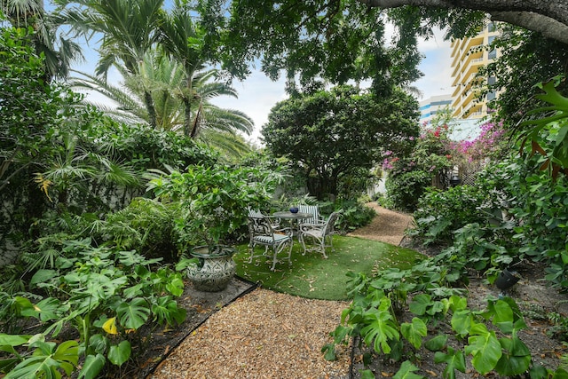 view of yard with a patio area