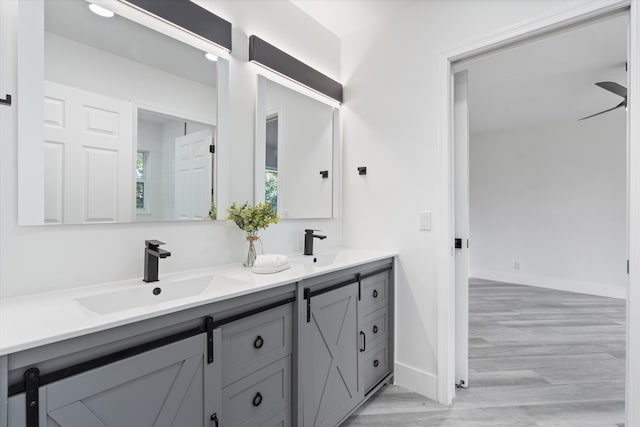 bathroom with hardwood / wood-style flooring and vanity