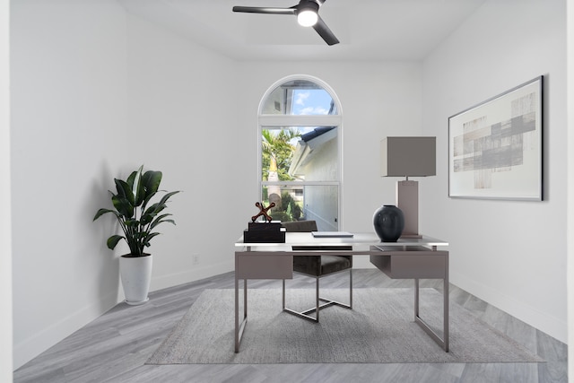 office area featuring ceiling fan and light wood-type flooring