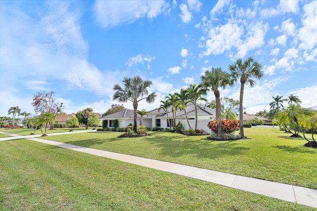 ranch-style home with a front lawn