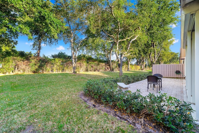 view of yard featuring a patio area