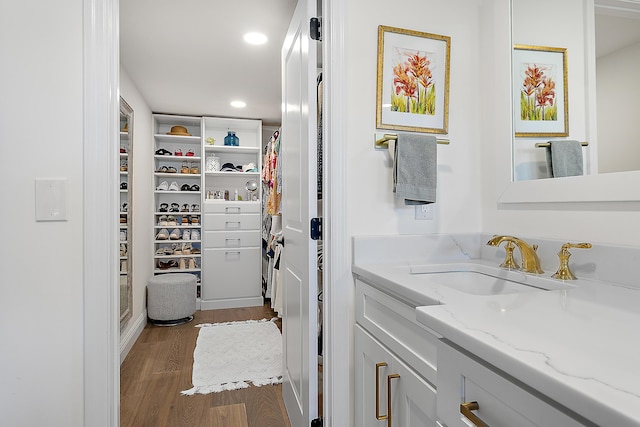 bathroom with hardwood / wood-style flooring and vanity