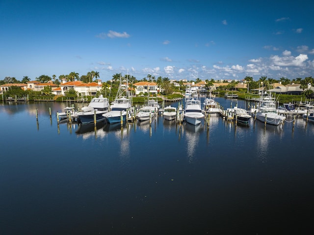 dock area with a water view