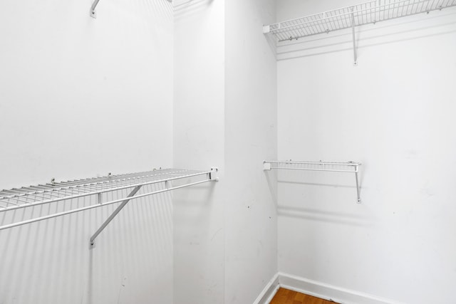 spacious closet featuring wood-type flooring