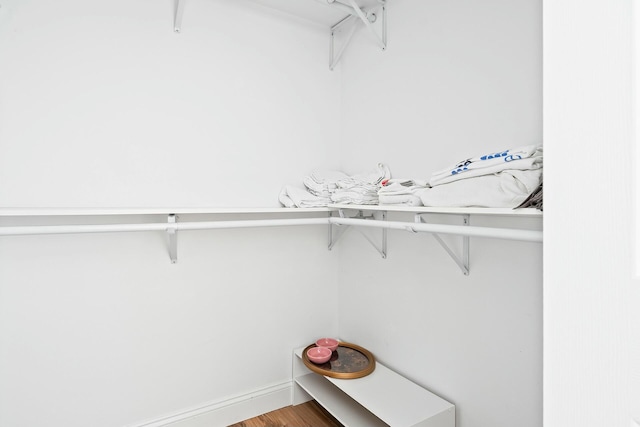 spacious closet featuring hardwood / wood-style flooring