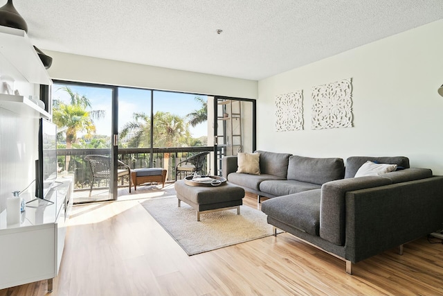 living room featuring a textured ceiling and light hardwood / wood-style flooring