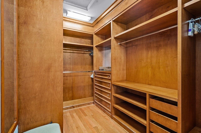 walk in closet featuring light hardwood / wood-style flooring