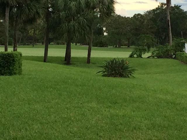 view of property's community with a lawn