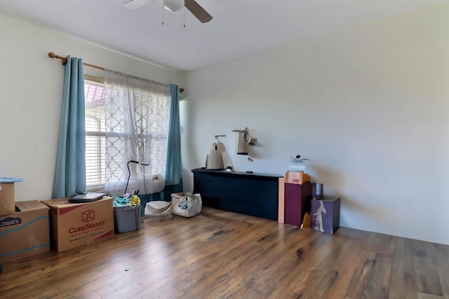 miscellaneous room featuring hardwood / wood-style flooring and ceiling fan