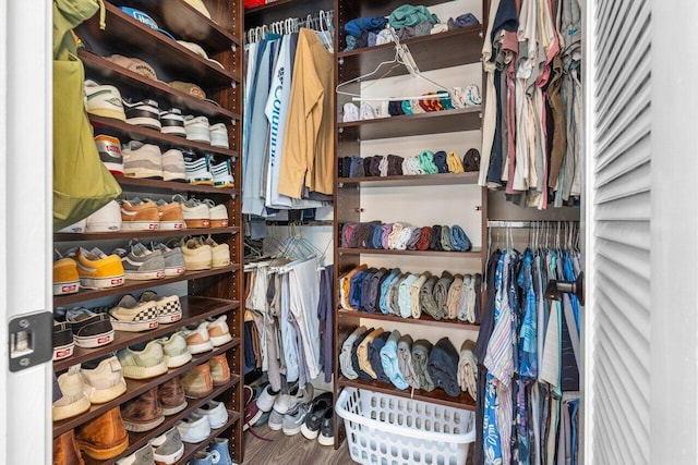 spacious closet with wood finished floors