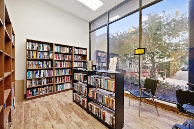 living area featuring expansive windows and wood-type flooring