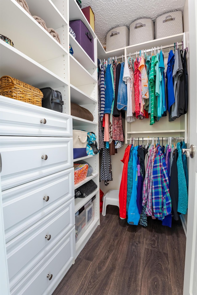 spacious closet with dark hardwood / wood-style flooring