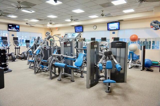 workout area with carpet flooring, a drop ceiling, and ceiling fan